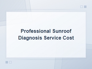 Professional Sunroof Diagnosis Service Cost